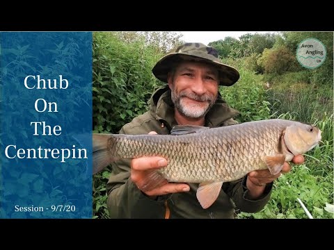 Small River Chub Fishing On The Centrepin - 9/7/20 (Video 162)