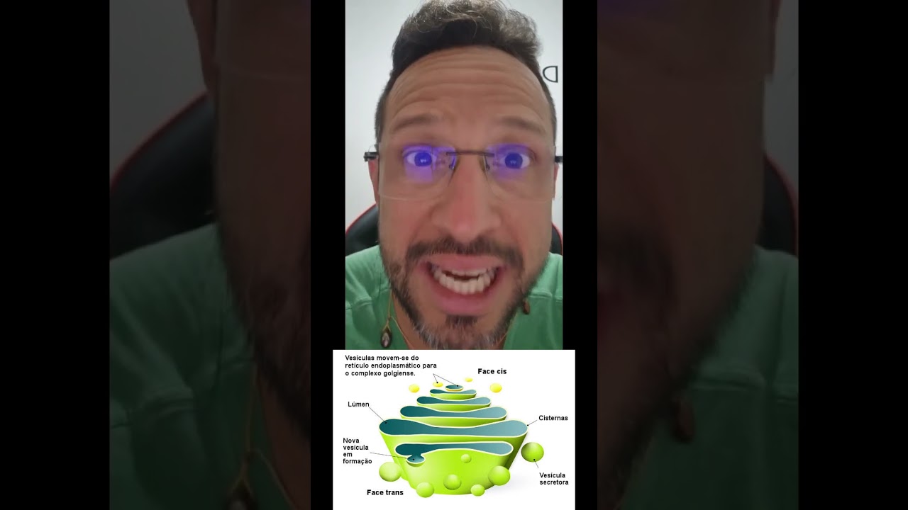 Complexo de Golgi - Dica 29 - ENEM 2024