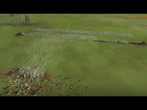 Total War  ROME 2 / Archers VS Dogs / Massive Battle
