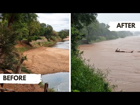 Before and After the Rains 🌧️Dramatic African Waterholes!