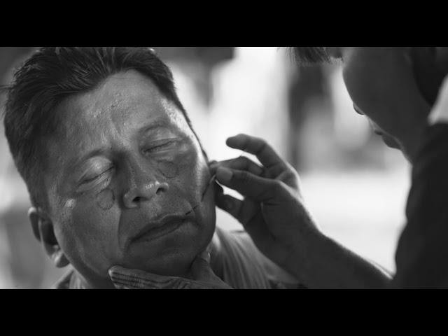 De Onde Viemos, Para Onde Vamos - Trailer