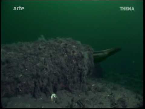 UMWE04-V28-Versenktes Gift-4-2min-Zitat arte-25.2.2014