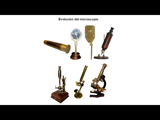 Vídeo relacionado con Biology and geology. 1 Secondary. Savia: Madrid, Castilla y León, Aragón y Principado de Asturias - Pack de 3 libros - 9788416346745