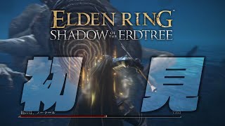 【生放送】#09 へっぽこ騎士、影の地を踏む【エルデンリングDLC】