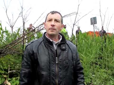 Un autoturism s-a rasturnat la Strunga