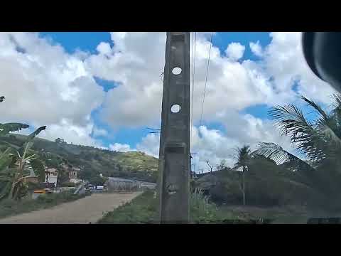 Primavera - Pernambuco