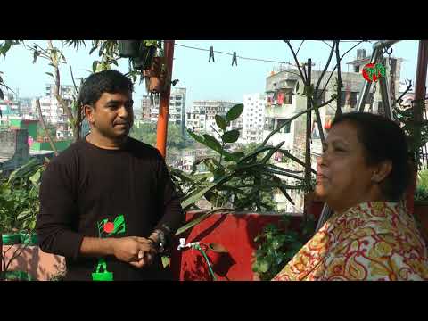 ছাদ বাগান(roof garden)- গৃহিণীর বছরে আয় ৪ লাখ টাকা- Basic of roof gardening