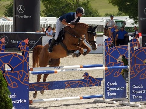 SOLD - Coco Chanel - *2010, mare, Colman x Farcetto, www.salesporthorses.com