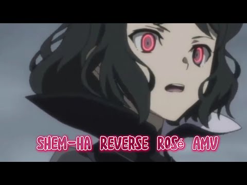 Shem-Ha Reverse Rosé Amv