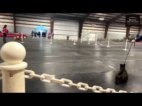 Fraser Valley- Norberto Barcos