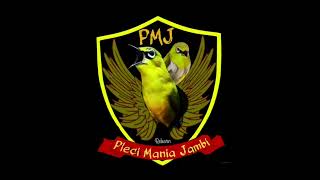 Download lagu Masteran pleci tembakan ciblek gunung jeda suara jernih mp3 Download lagu Masteran pleci tembakan ciblek gunung jeda suara jernih mp3