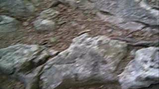 Where are we from? - Marslander -