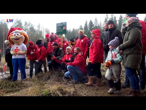 Zittau: Pflanzaktion der Sparkasse Oberlausitz - Niederschlesien - LAUSITZWELLE