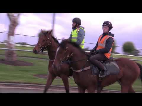 All Too Hard x Keeper Quiet & Discorsi x Plaza Suite. September 7, 2018