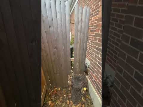 Bathroom remodeling and improvement project