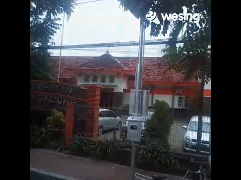 Ldr Tulungagung Hongkong