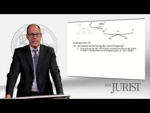 Irrtümliche Erbausschlagung - BGH, Beschluss vom 22.03.2023 - VI ZB 12/22