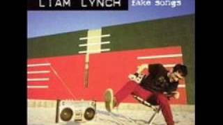 Liam Lynch - Fake Björk Song