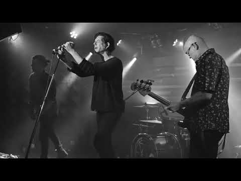 Golden Apes - Shine - Live Badehaus Berlin 23.11.2024