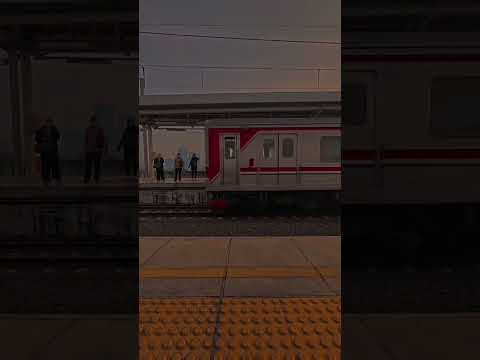 Commuter Chronicles #travelshorts #train #commuterline #work