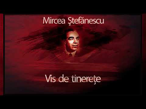 Vis de tinerete (1977) - Mircea Stefanescu #teatruonline #teatruradiofonic #teatruaudio #teatru