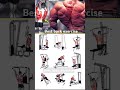 Best Back Workout Tips For Massive Growth Quick Gym Guide Shorts Fitness Youtubeshorts