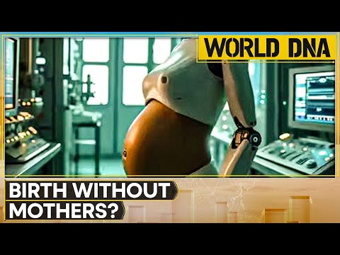 China Introduces Robot Pregnancy With Artificial Womb, Shaping the Future of Birth | WION World DNA