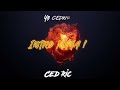 Ced Ric - Intro Maya ( Blackpower ! )