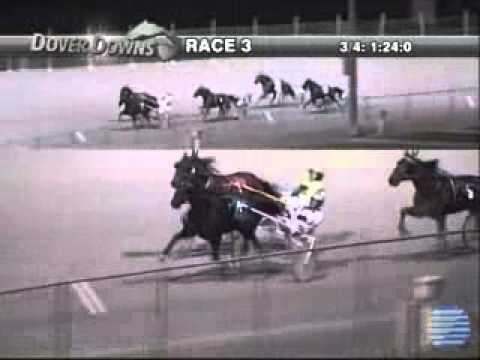 Matron Stakes 2Y Trot 2013 -Nuncio