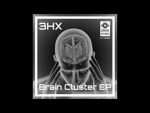 3HX - Brain Cluster