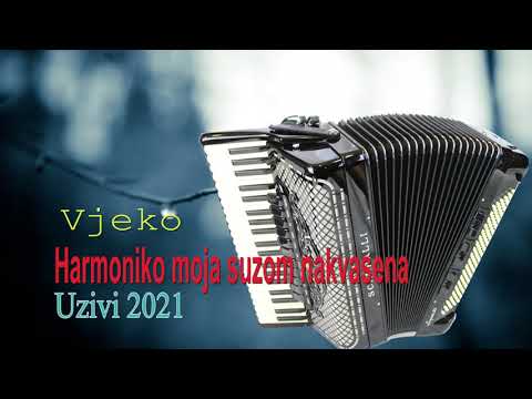 Harmoniko moja suzom nakvasena_(Uzivo 2021)_Vjeko