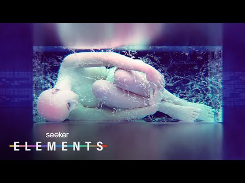 人類冬眠對太空探索意味著什麼#短褲 (What Human Hibernation Means for Space Exploration #shorts)