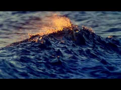 HAVASI — The Storm