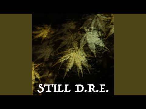 Still D.R.E.