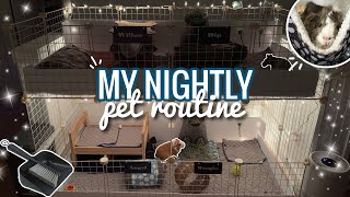My Nightly Pet Routine || Fall 2023