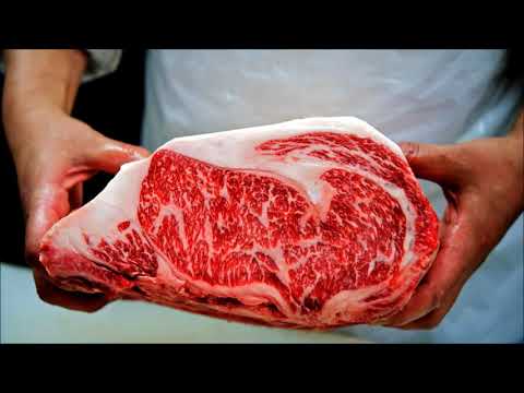 Eine Studie zur vegetarischen Ernährung erhitzt die Gemüter! Udo Pollmer erklärt!