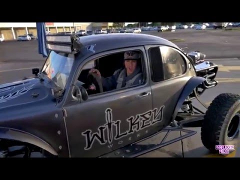 URBAN ASSAULT San Diego Shark Attack Typiak