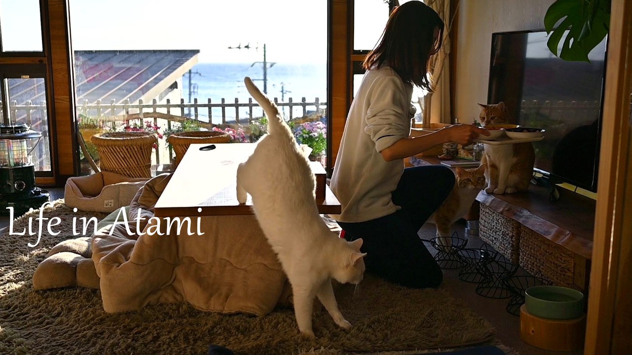 #143 久しぶりの1日おでかけ｜ネコたちと始まる春の中伊豆びより