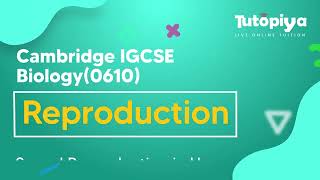 Sexual Hormones in Humans