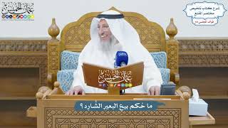 3059 - ما حُكم بيعِ البعير الشَّارِد؟ - عثمان الخميس