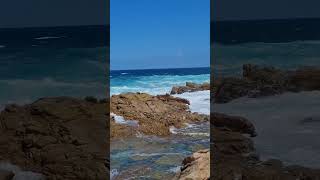 Download lagu The ocean has its own language. mp3