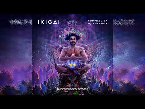 VA - Ikigai (Compiled By DJ Synergia)