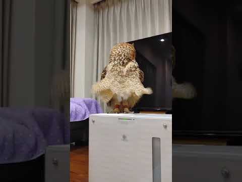 LIFESTYLE Newsletter Vol. 4 No. 3