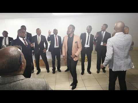 Yawa lembewu - Light Appeal