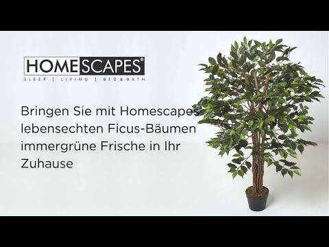 kirschlorbeer dnger compo Kirschlorbeer Dnger von Flora Boost