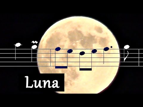 "Luna" composed by Romano Musumarra - Flute on a street corner