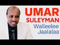 Umar Suleeymaan Walleelee Jaalalaa Jaalatamoo Inni Wallisee Lovely Oromo Music Umer Suleiman