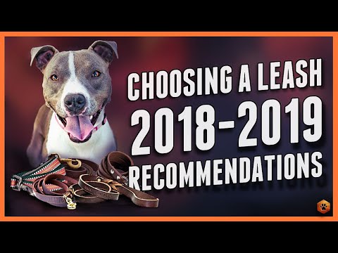 download lagu mp3 mp4 Dog Leash Length, download lagu Dog Leash Length gratis, unduh video klip Dog Leash Length