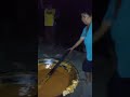 Paano Nga Ba Gawin Ang Matamis Na Bao Kaway Kaway Sa Mga Dumanas Ng Ganitong Buhay