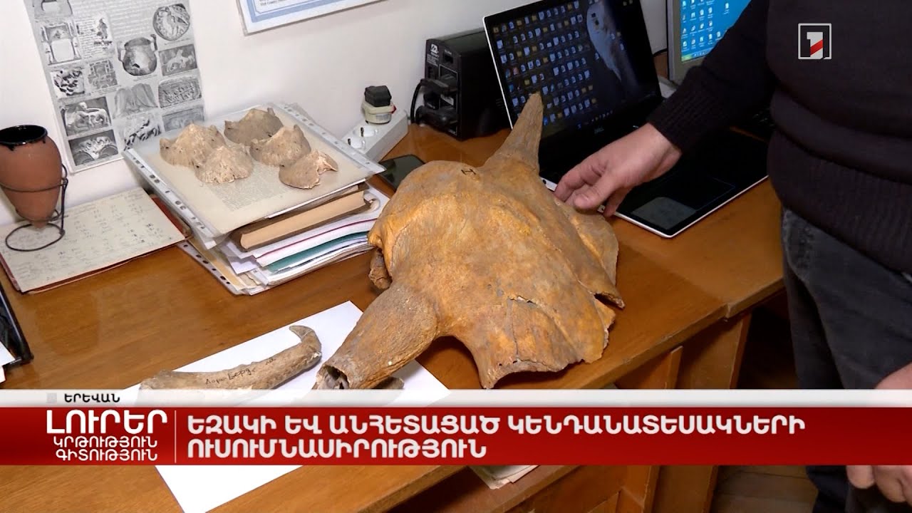 Եզակի և անհետացած կենդանատեսակների ուսումնասիրություն